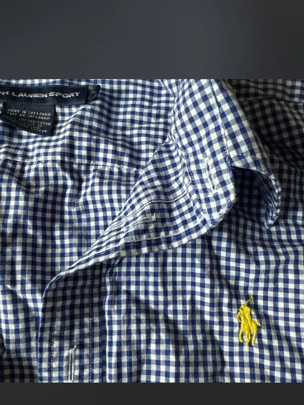 Polo by Ralph Lauren Blue Gingham Button-Down Shirt
